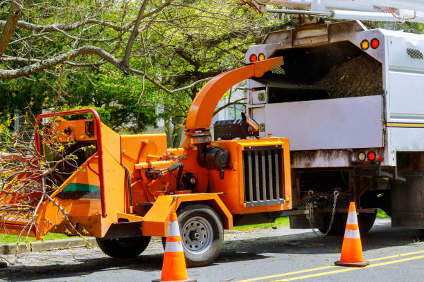 Best Storm Damage Tree Cleanup  in Spring Hill, FL